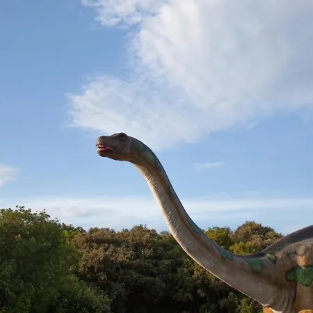 Mon Perin Castrum - Dado