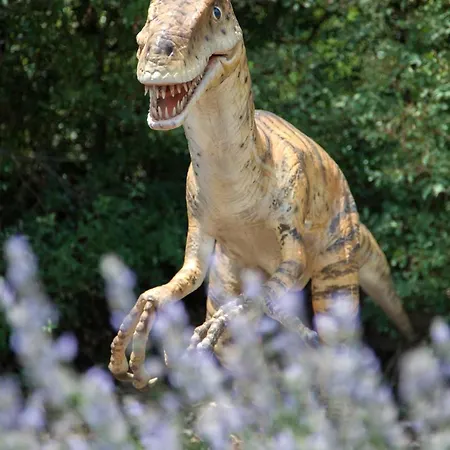 Mon Perin Castrum - Dado Bale