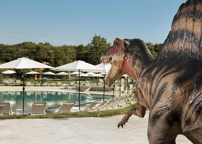 Mon Perin Castrum - Dado Bale