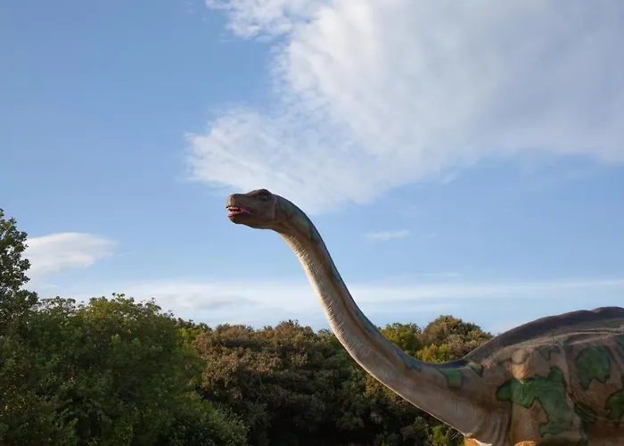 Mon Perin Castrum - Dado